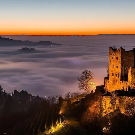 Guest house Pfauen 3*